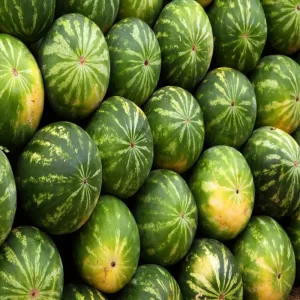 Melons